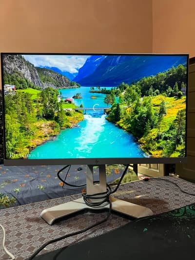 HP E243 24" Full HD IPS Monitor | HDMI + DisplayPort Borderless Screen