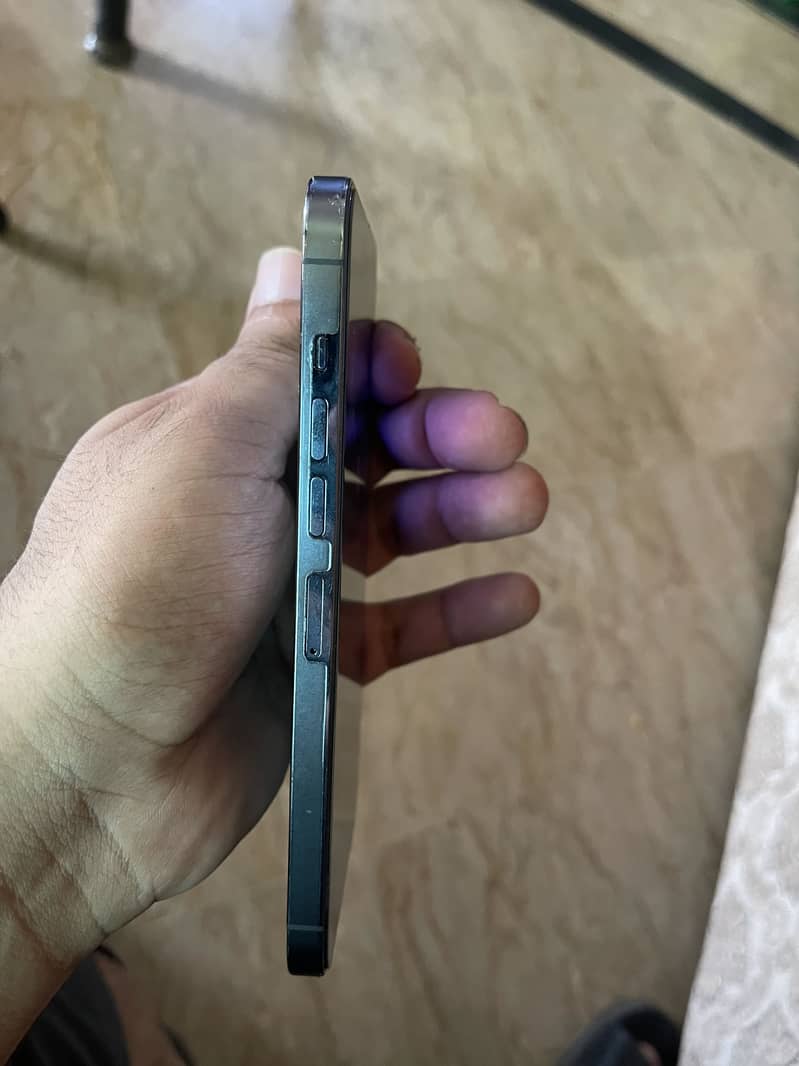 Apple iPhone 13 Pro Max 1