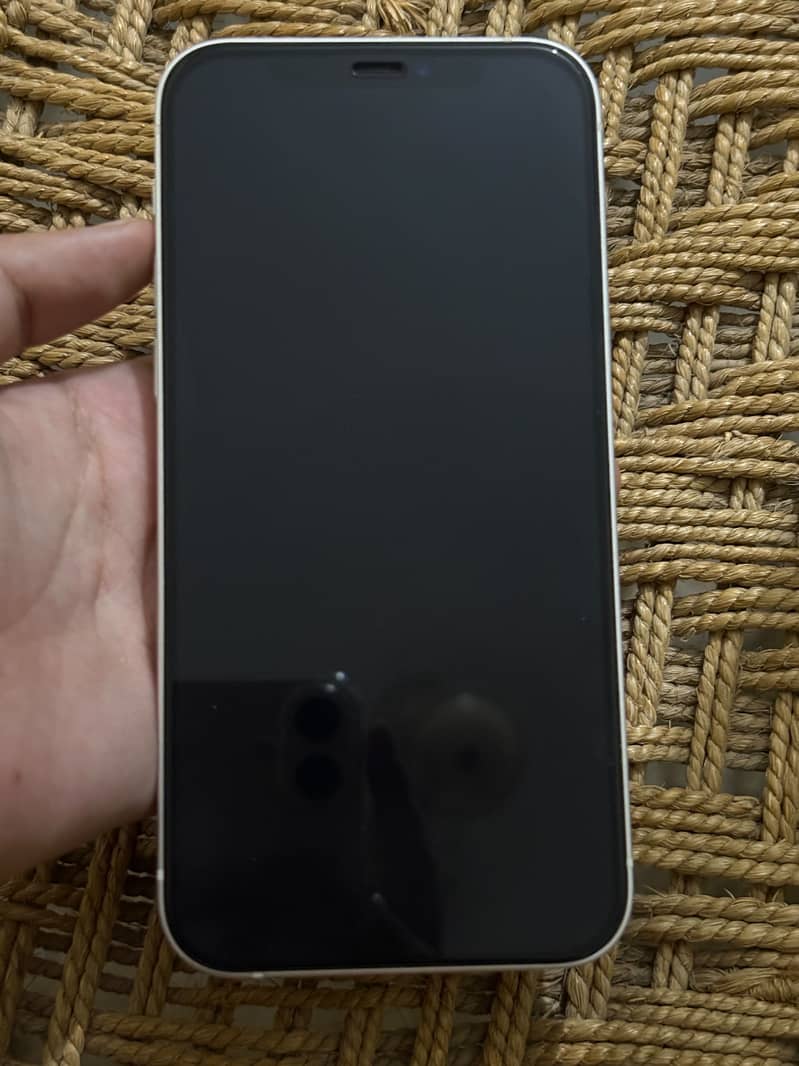 Apple iPhone 12 1