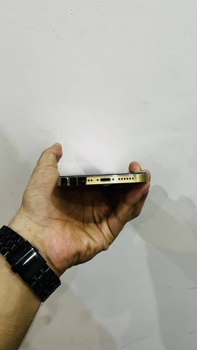 Apple iPhone 12 Pro Max 1