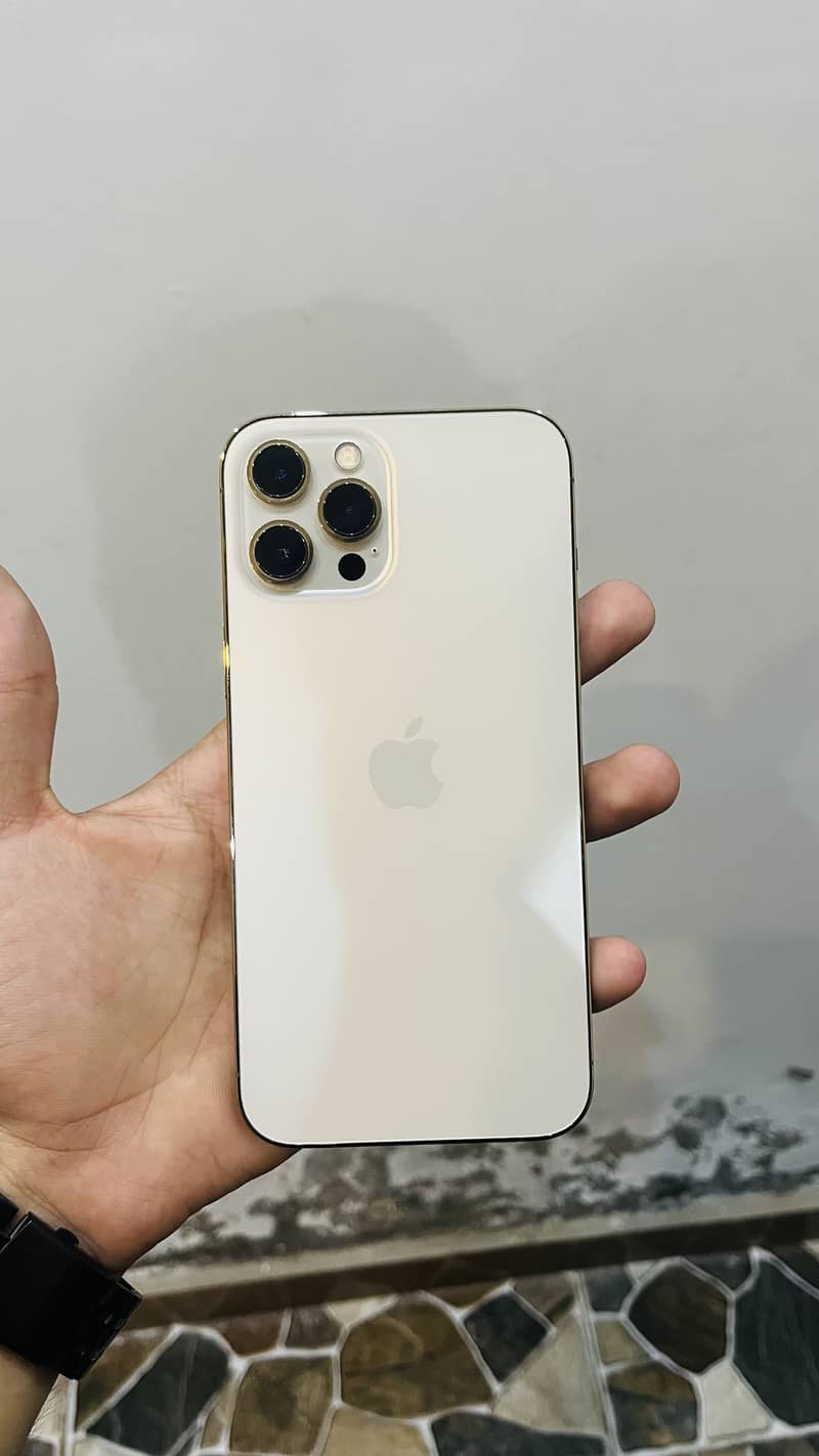 Apple iPhone 12 Pro Max 2