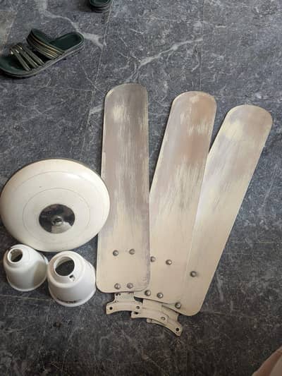 Royal Celling Fan