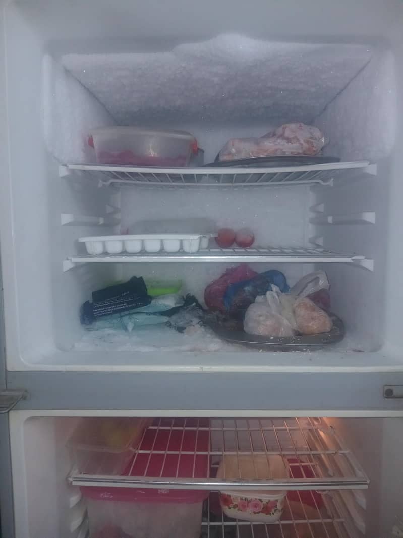 fridge 4