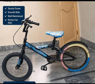 Cycle for 5 to 10 years kids