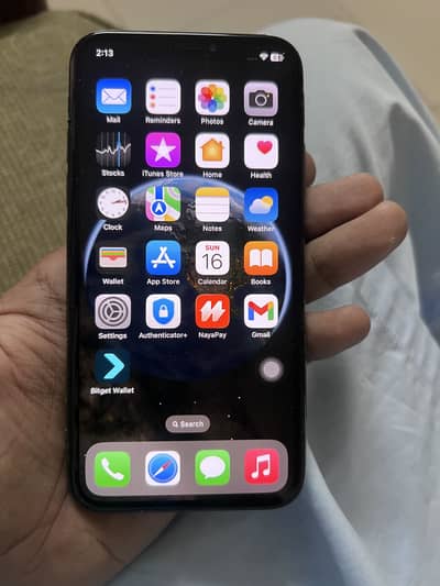 Apple iPhone X