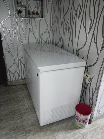 freezer new condition
