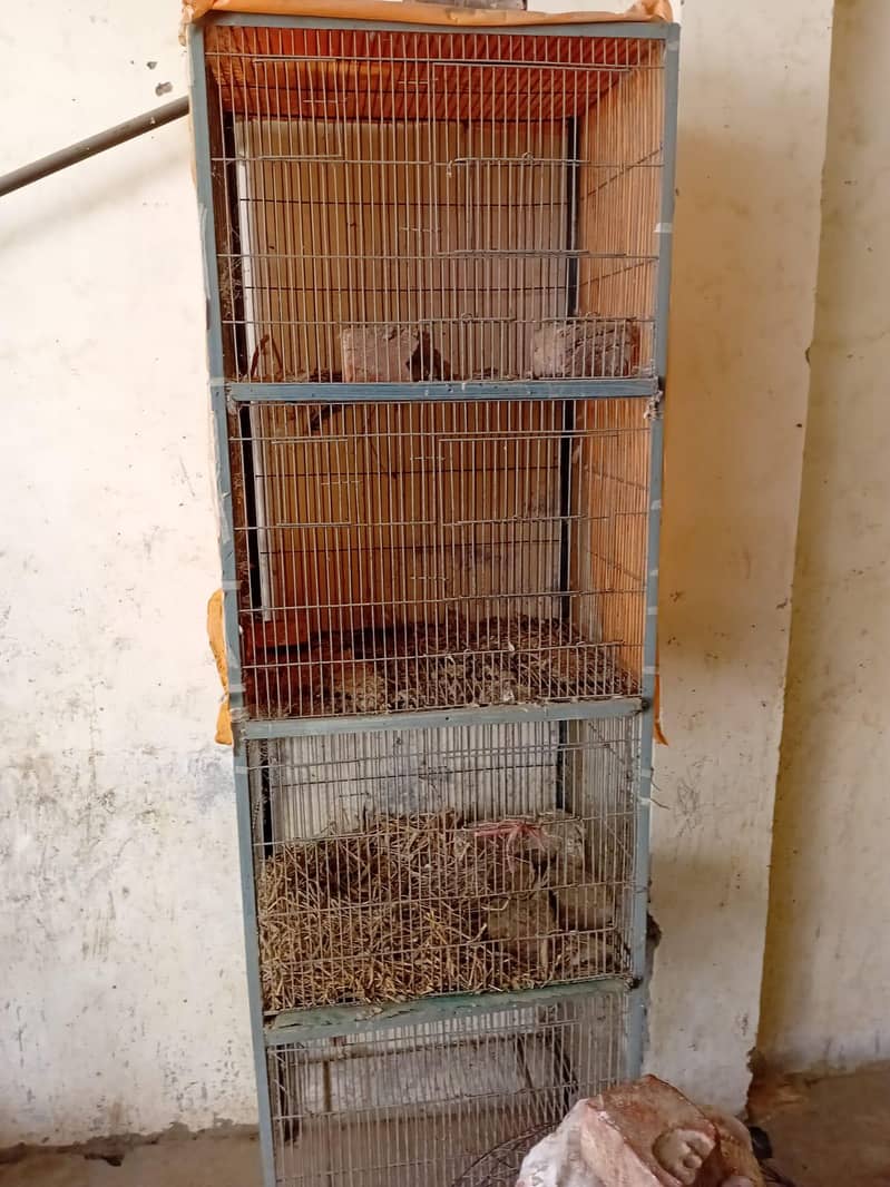 Tower Cage 1