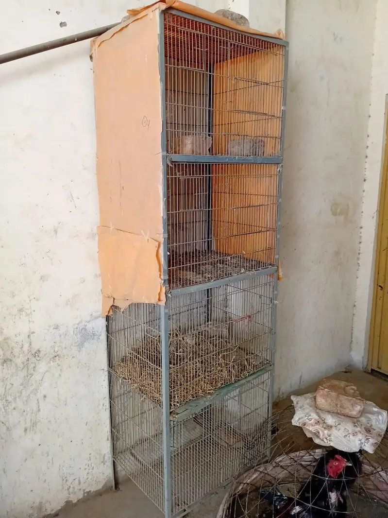 Tower Cage — photo 3
