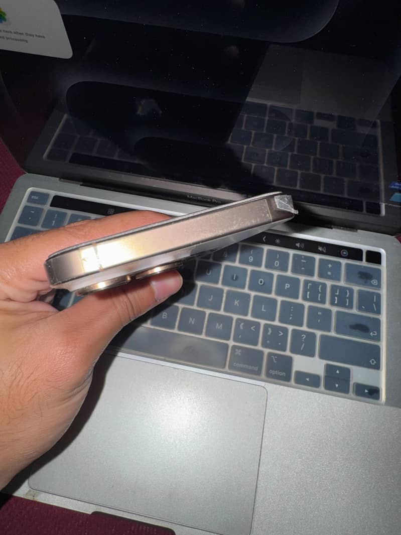 Apple iPhone 16 Pro Max 1