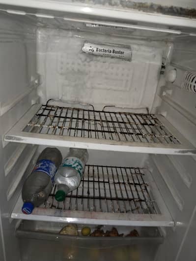 pell Refrigerator medium size