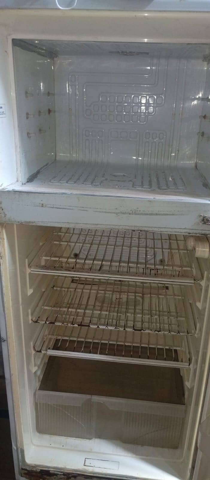 Fridge 2