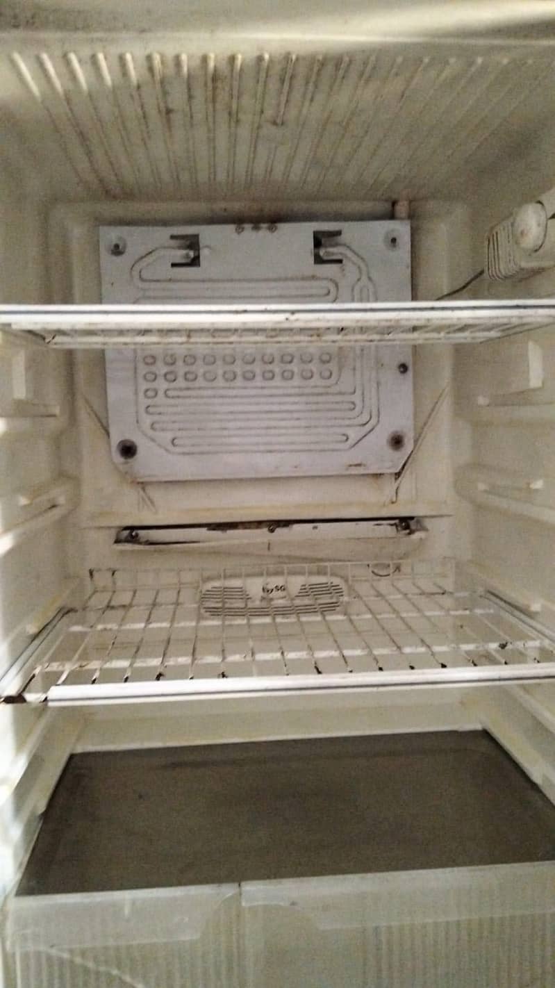 Fridge 4