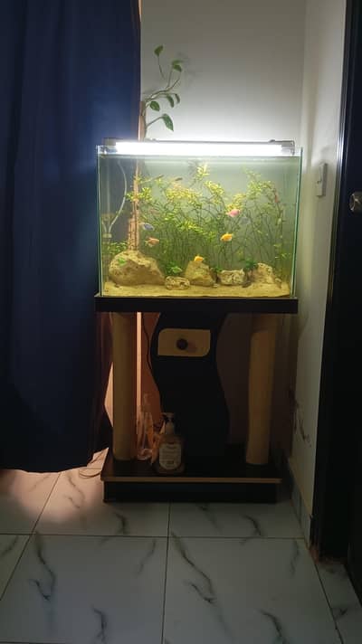 Aquatic Aquarium With Complete Setup Contc# 03462820382