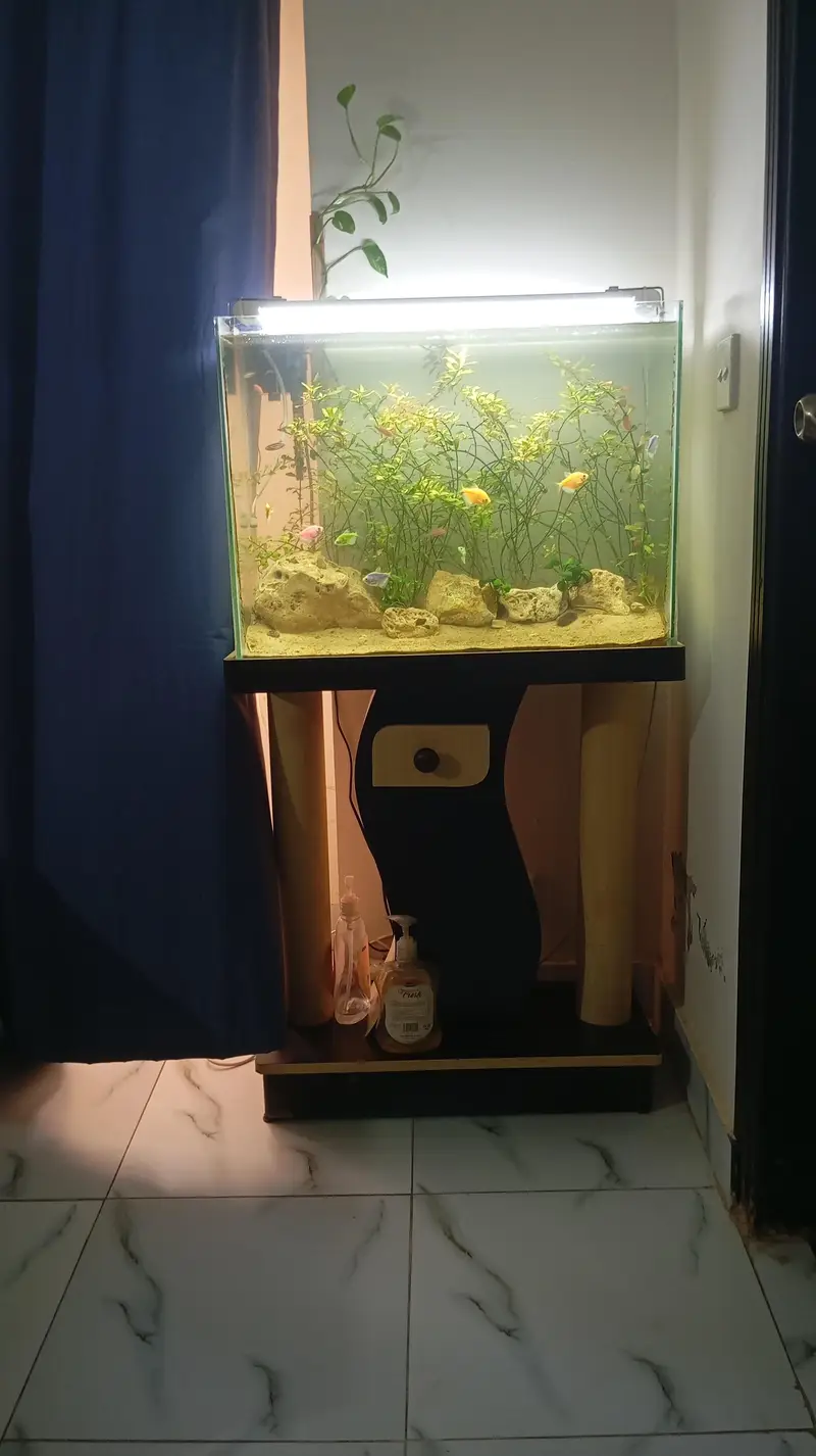 Aquatic Aquarium With Complete Setup Contc# 03462820382 — photo 2