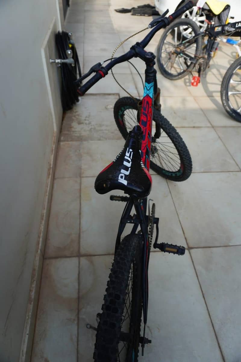Plus cycle 1