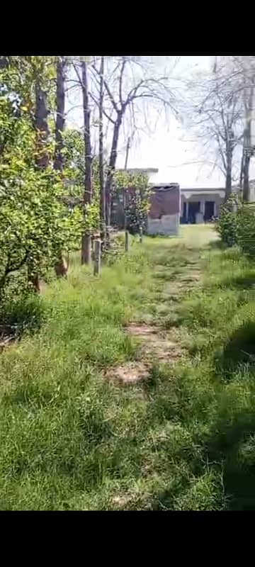 03326902094 whatp no ) 7 kanal farm house available for sale