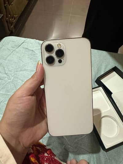 Apple iPhone 12 Pro Max