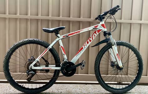 Mountain Bike
