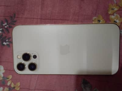 Apple iPhone 12 Pro Max
