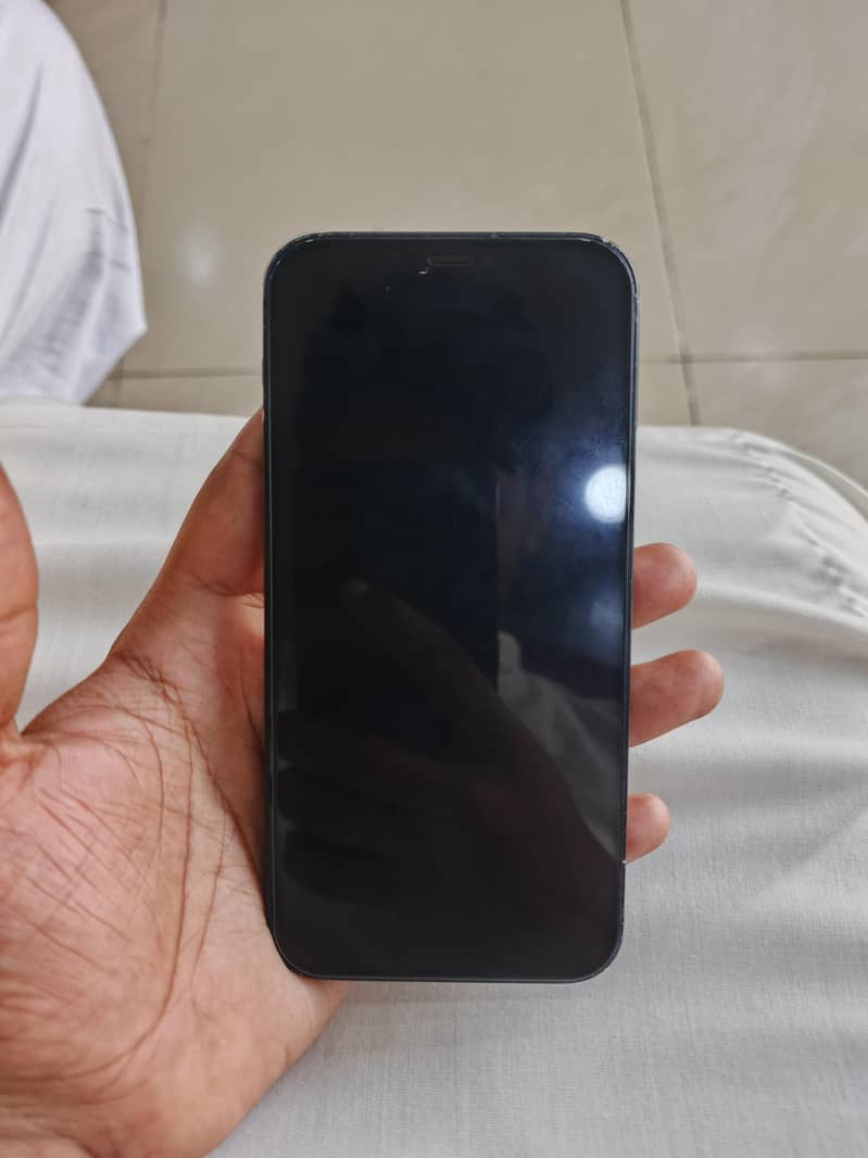 Apple iPhone 12 1