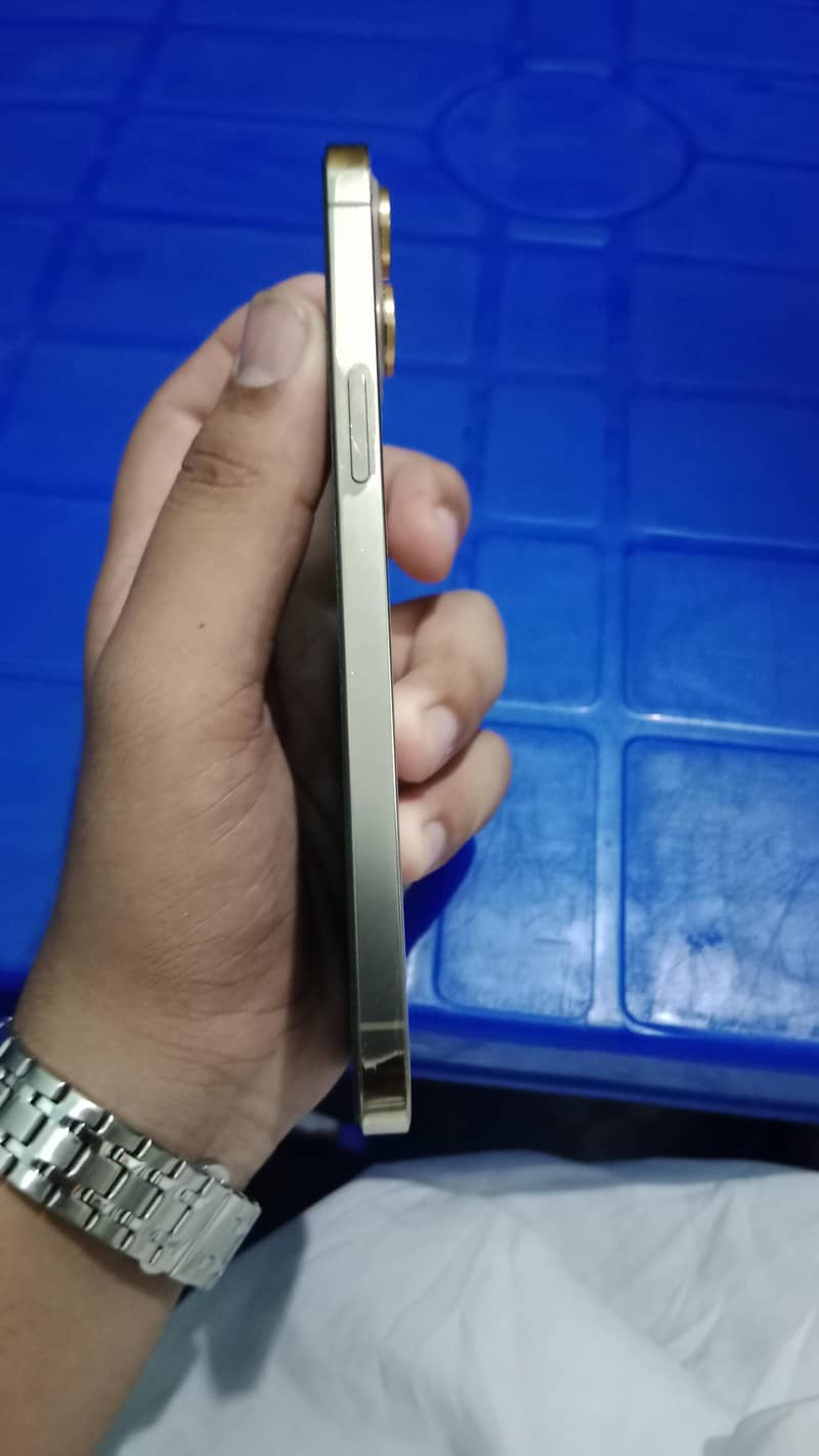 Apple iPhone 12 Pro Max 1