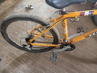 sport cycle
