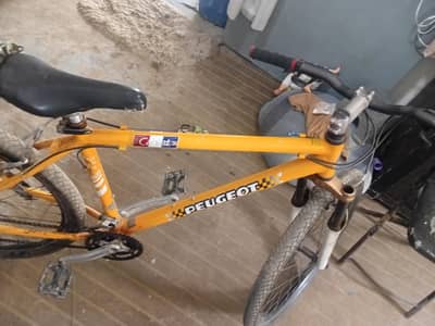 sport cycle