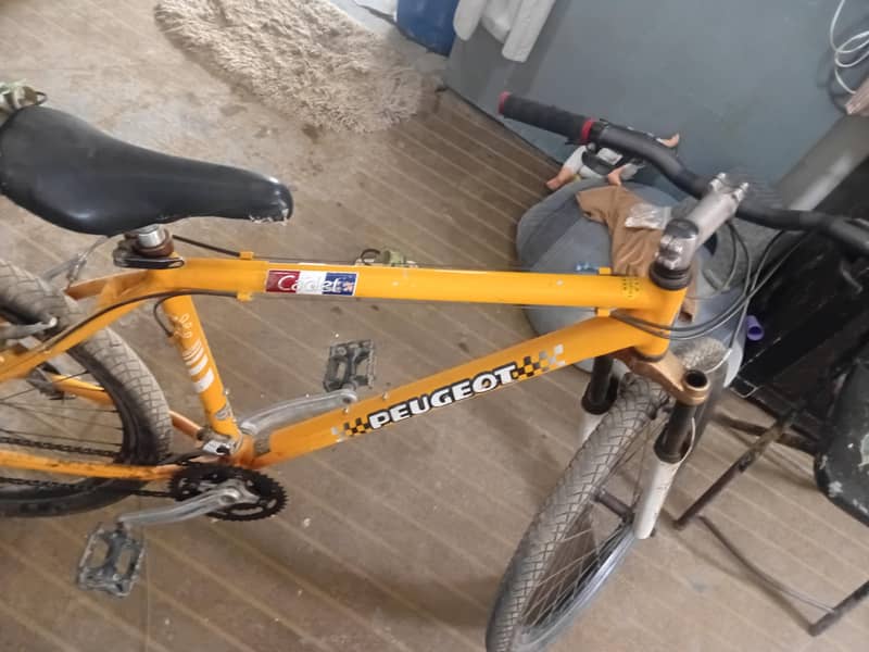 sport cycle 1