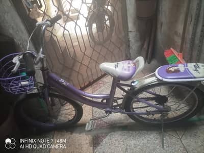 kids bicycle for girl