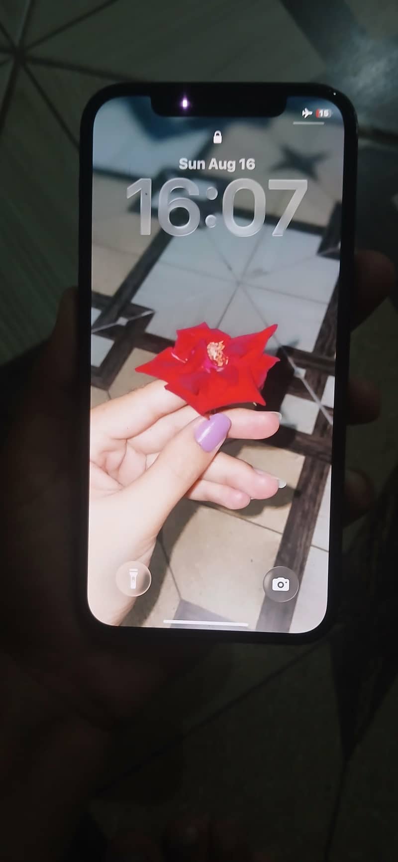 Apple iPhone 12 2
