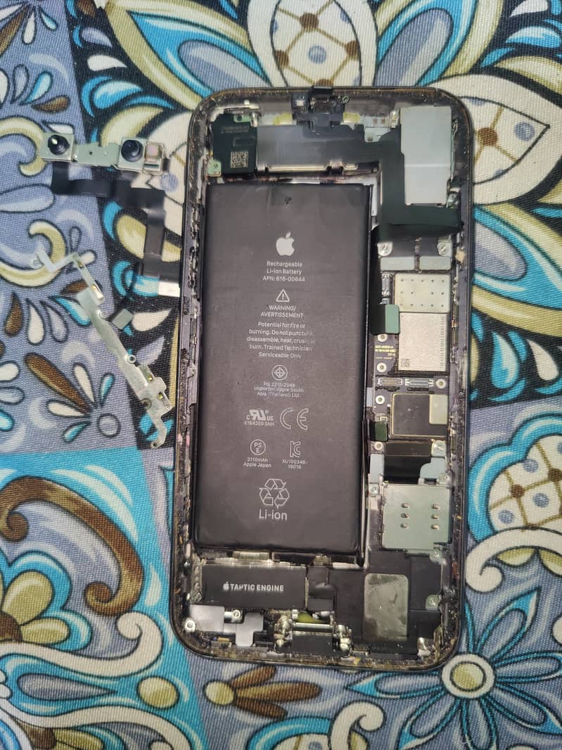 Apple iPhone 11 1