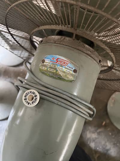 Peestal fan (Al sheikh)