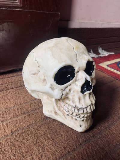 Decorative Skull Head – Realistic Gothic Horror Décor
