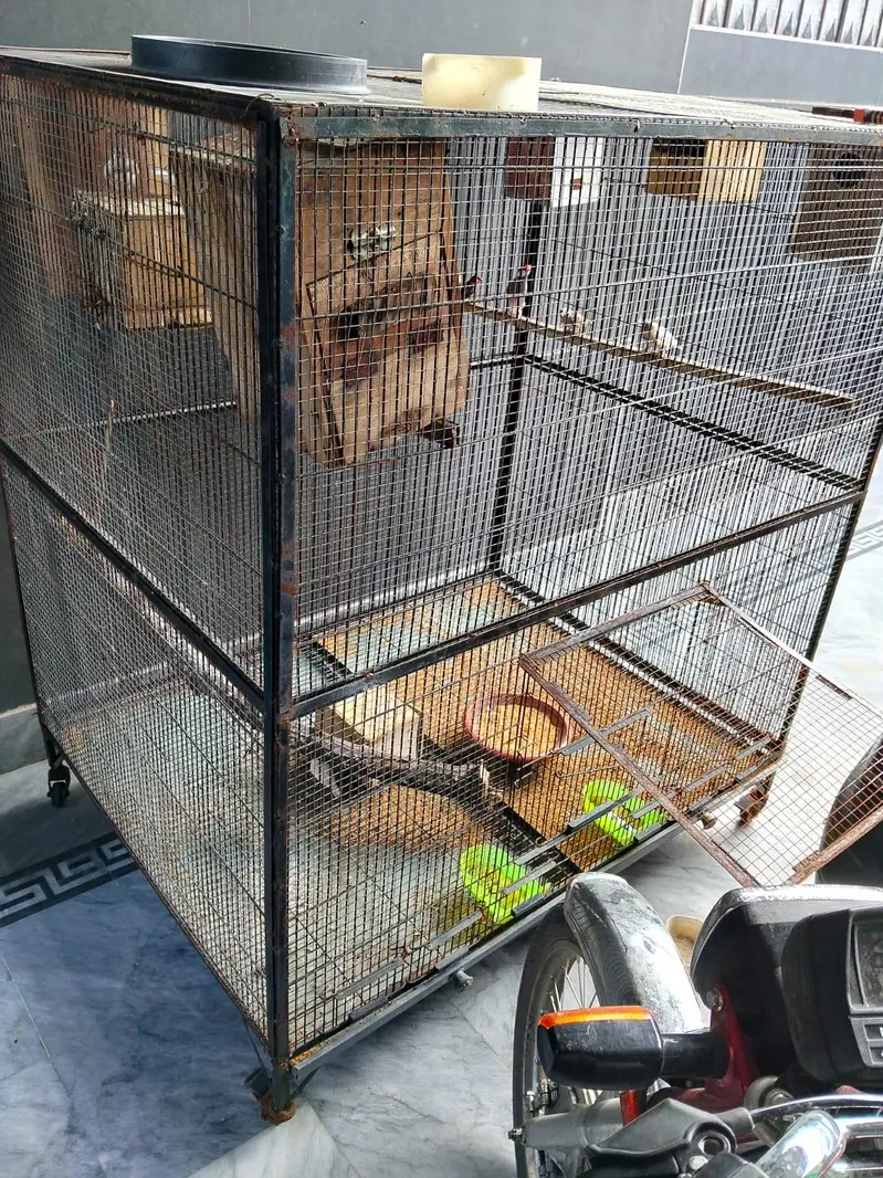cage for hens or parrot etc. . . . . — photo 2