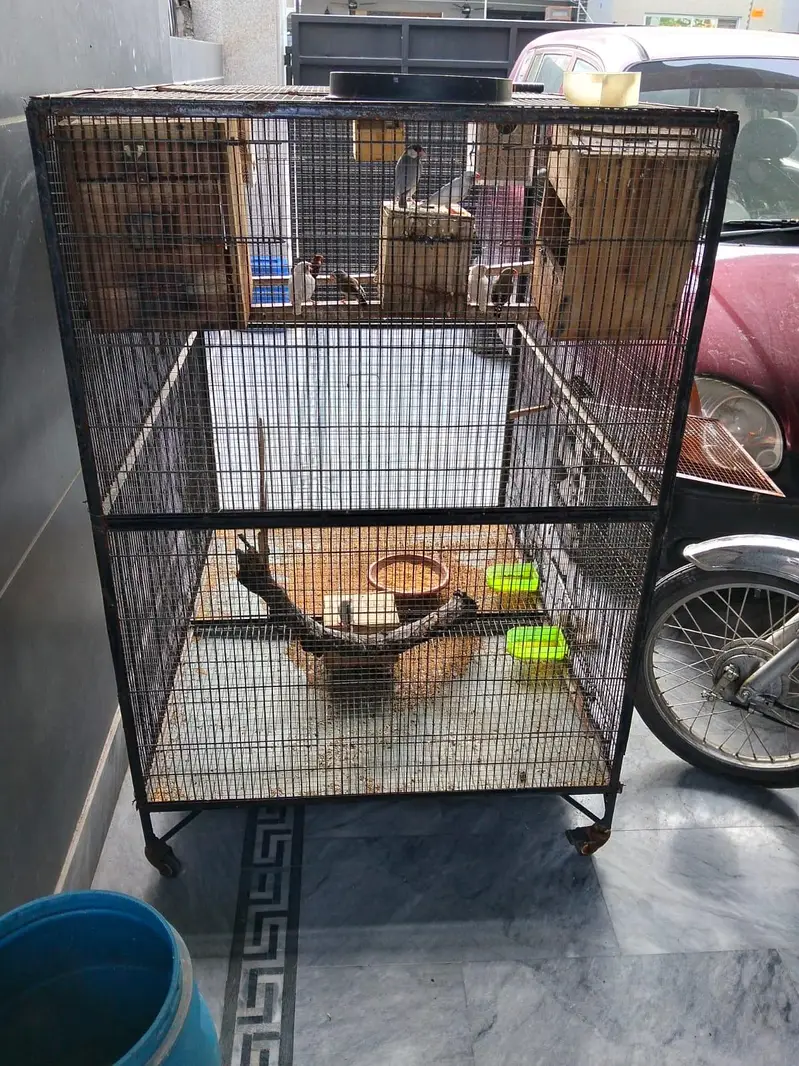cage for hens or parrot etc. . . . . — photo 3