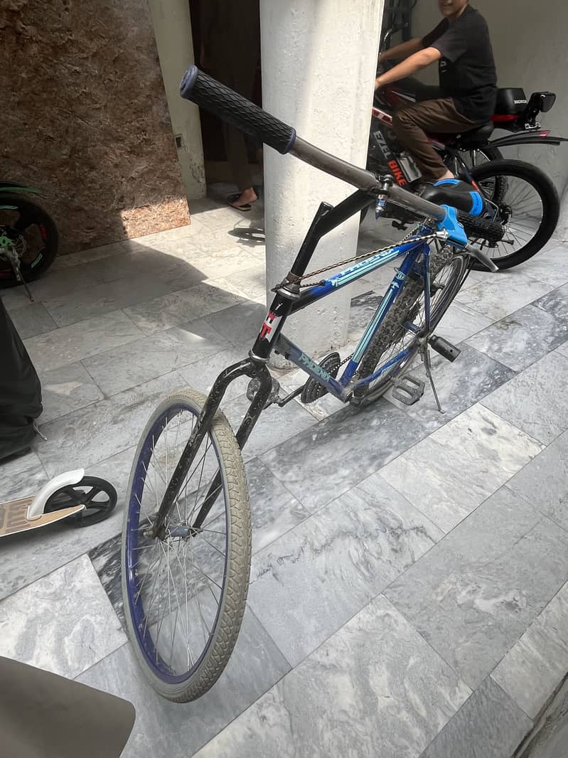 PHOENIX CYCLE 2
