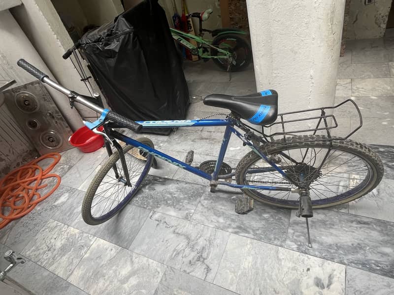PHOENIX CYCLE 3