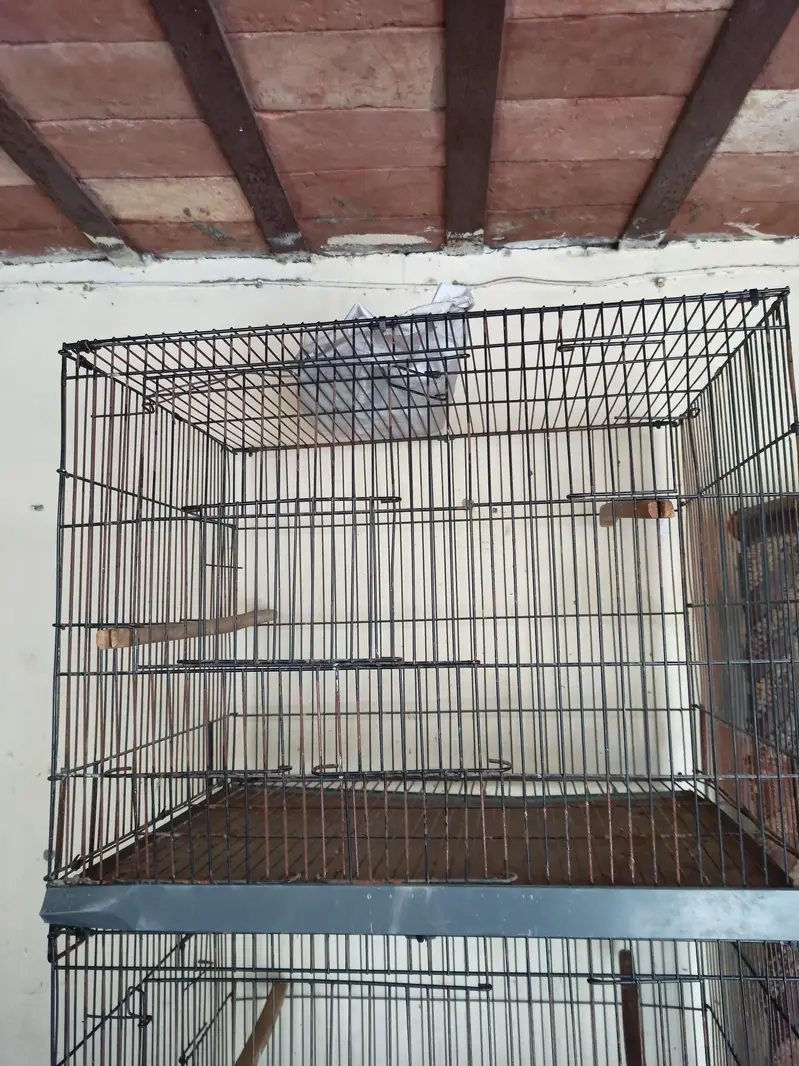 1.5 by 2 4 portion folding cage — photo 2