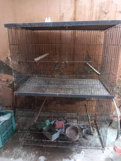 birds cage