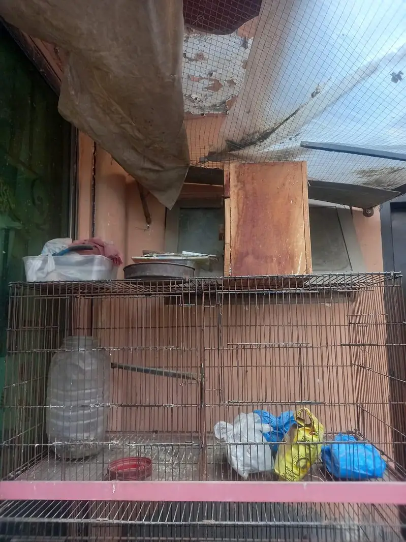 birds cage — photo 2