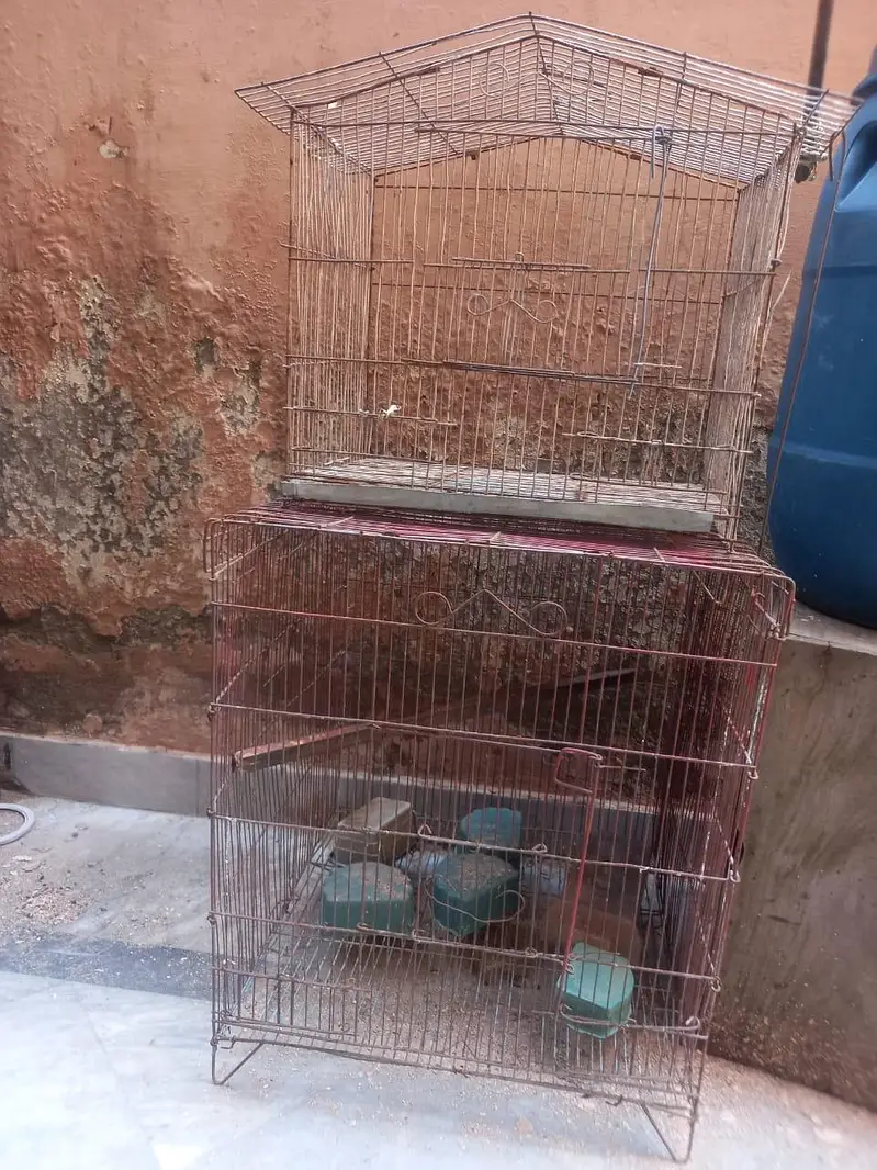 birds cage — photo 3