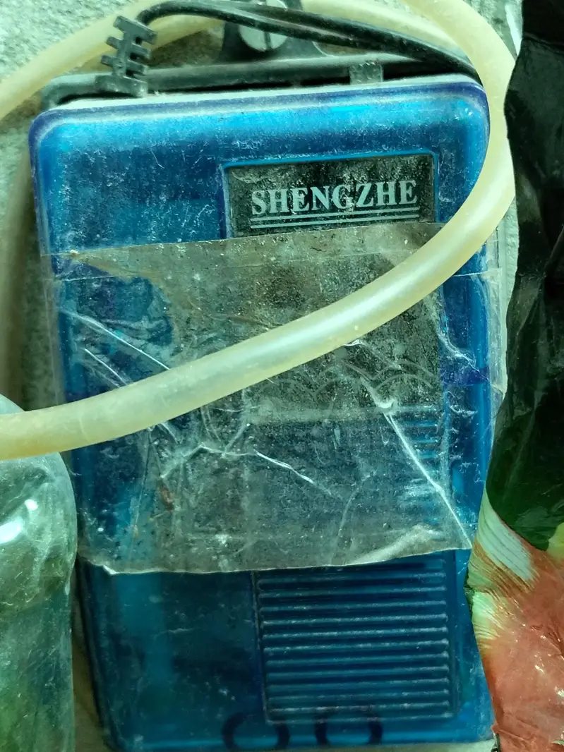 Mini Aquarium Fish Tank with Dual Pump, Heater and Fish Food — photo 3