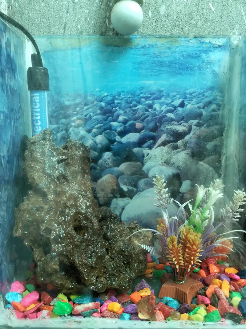 Mini Aquarium Fish Tank with Dual Pump, Heater and Fish Food — photo 4