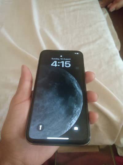 Apple iPhone X