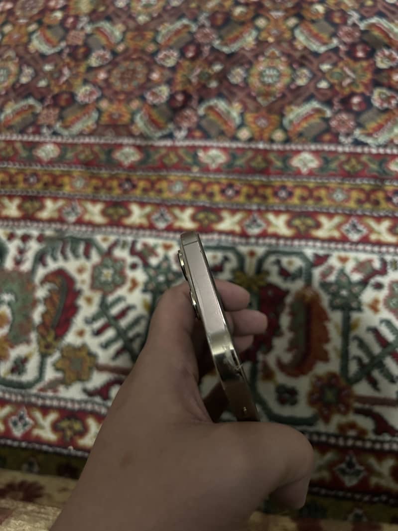 Apple iPhone 13 Pro Max 1