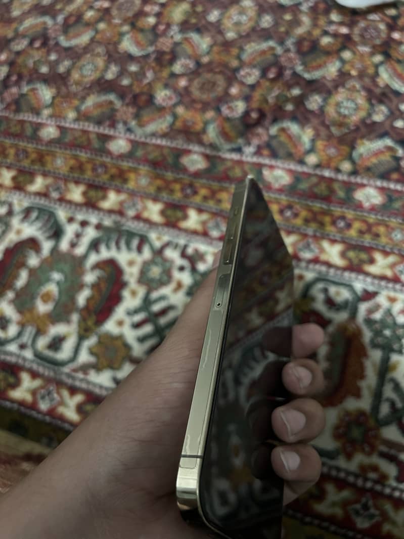 Apple iPhone 13 Pro Max 2
