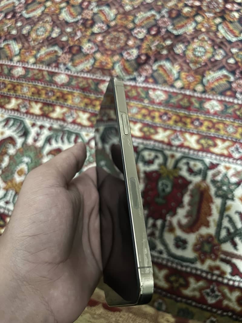 Apple iPhone 13 Pro Max 4