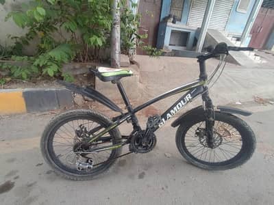 japanese cycle