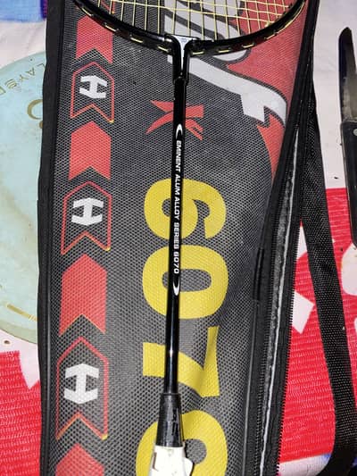 Eminent pro 6070