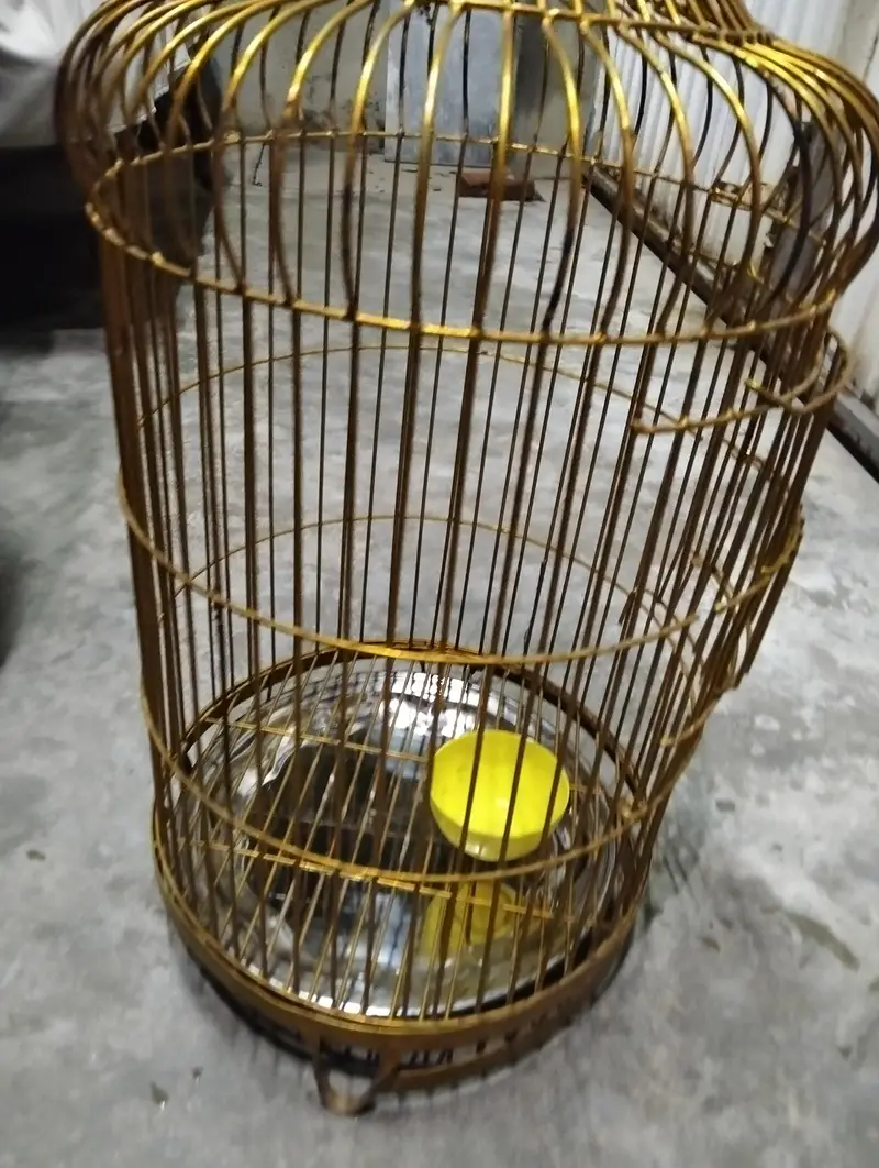 brand new pinjra ha — photo 4